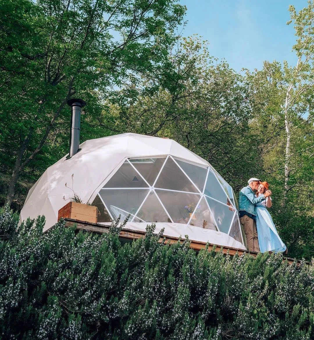 Trade Show Tent 6~9m Diameter Transparent Geodesic Luxury Dome Hotel Manor Tents Hotel Forest Glamping Round Dome Tent